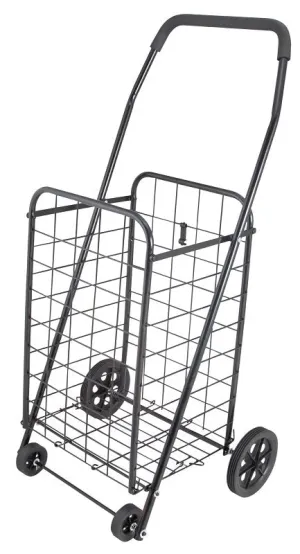 Simple Spaces TPG-G80033L Shopping Cart, 19 in OAW, 36 in OAH, 1-Shelf, Steel Shelf, Black Shelf :EA: QUANTITY: 1